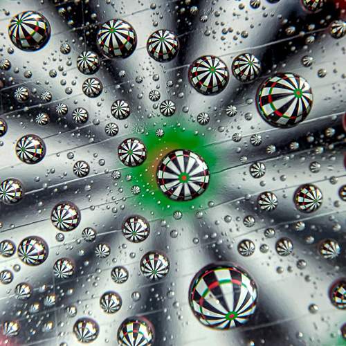 Photo #9656301