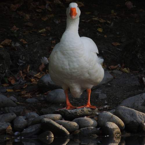 Photo #9656422