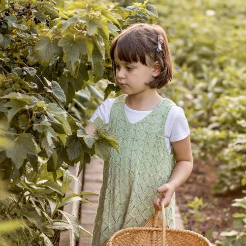 Photo #9656465