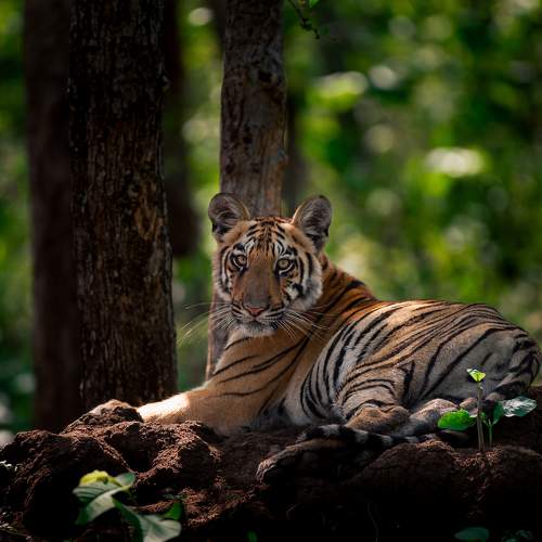 Photo #9656781