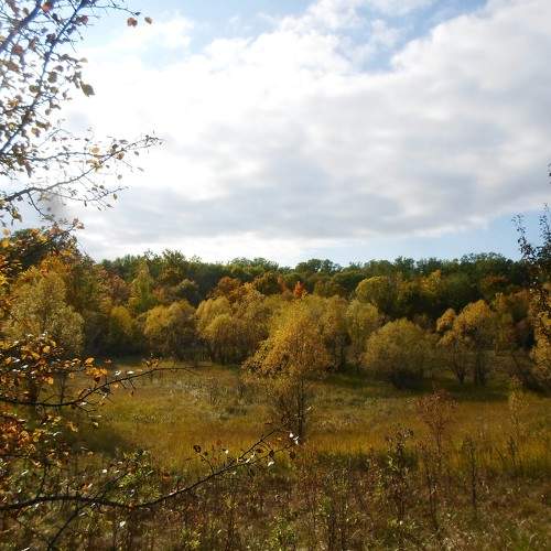 Photo #9656819