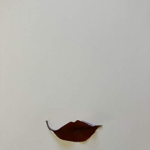Photo #9656910