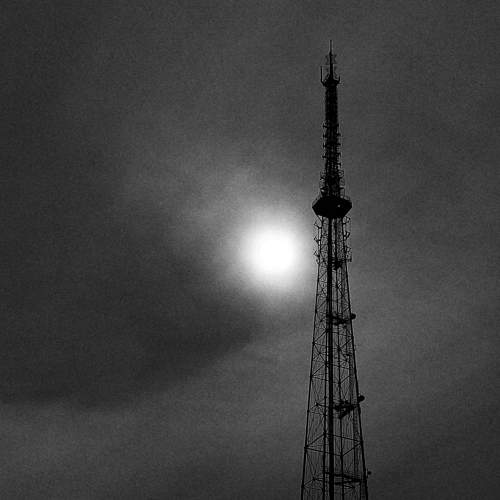 Photo #9657204