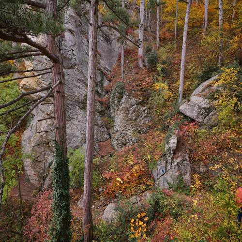 Photo #9657213