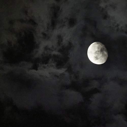 Photo #9657222