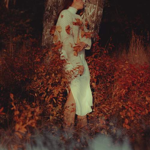 Photo #9657341