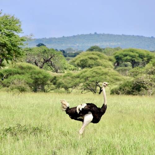 Photo #9657622
