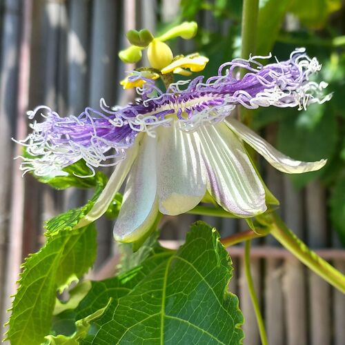 Photo #9657809
