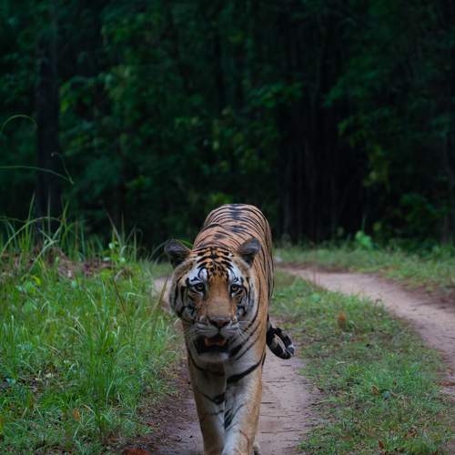 Photo #9657870