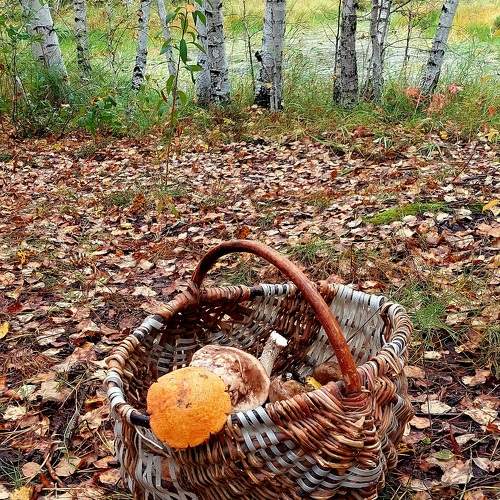 Photo #9657938