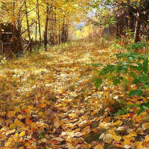 Photo #9657950