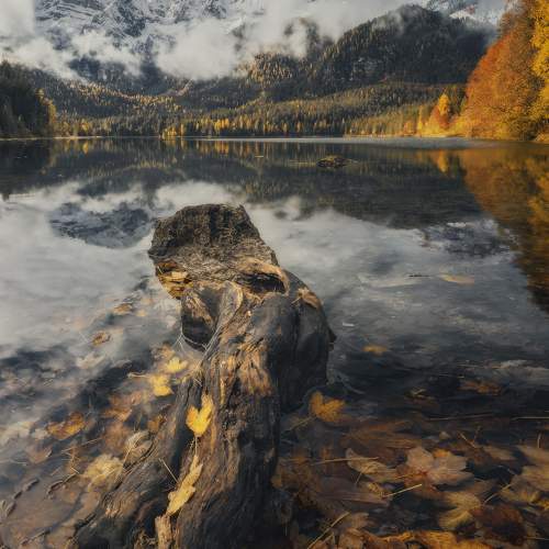 Photo #9657993