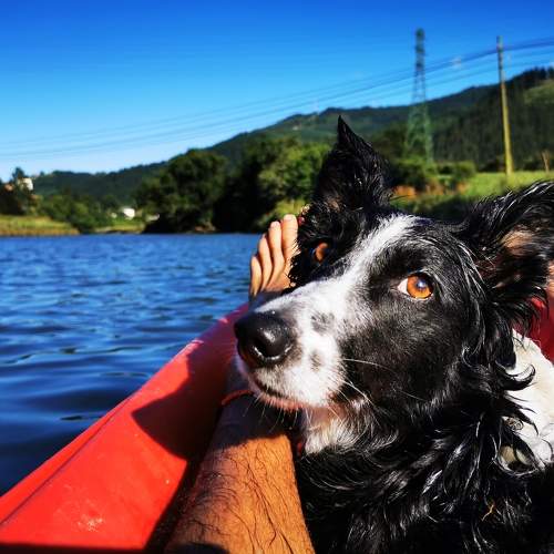 Photo #9658015