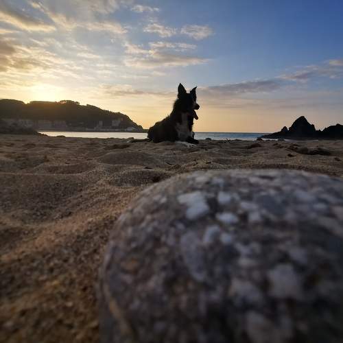 Photo #9658019
