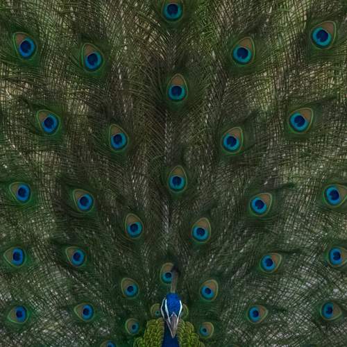 Photo #9658163