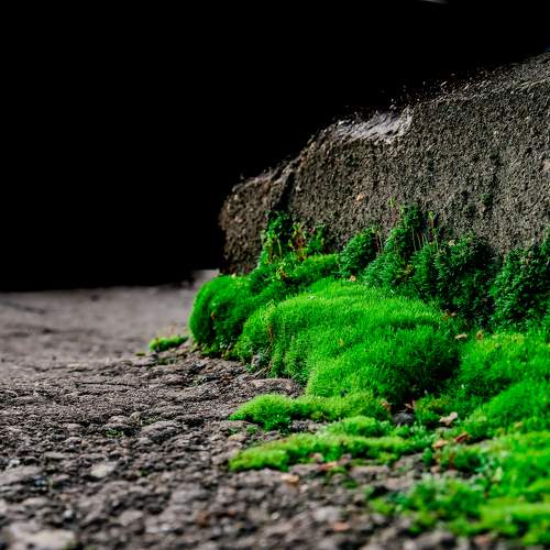 Photo #9658561