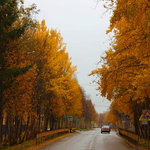 Photo #9658601