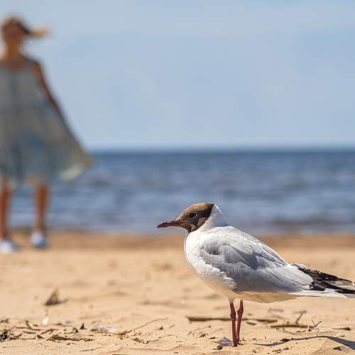 Photo #9658644