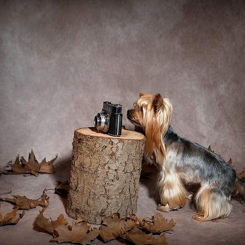 Photo #9658966