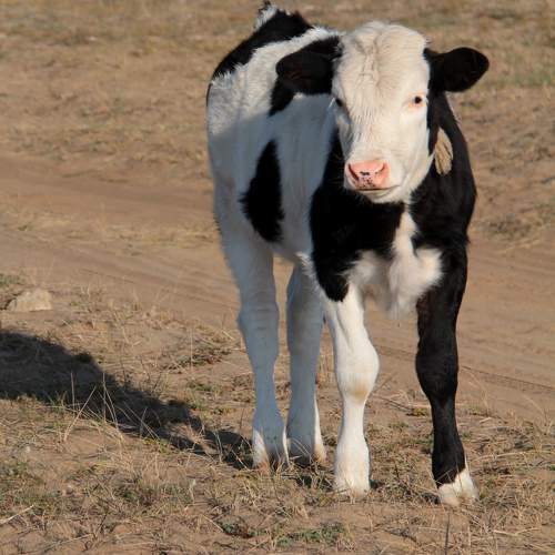 Photo #9659090