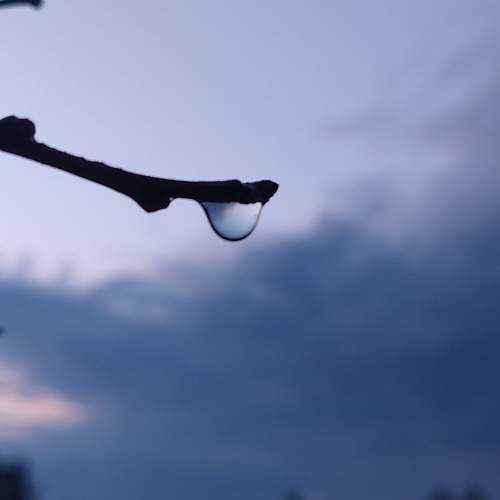 Photo #9659125