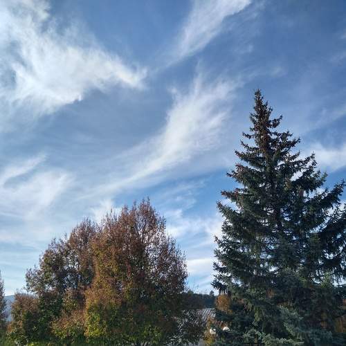 Photo #9659162