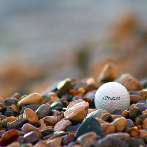 Photo #9659169