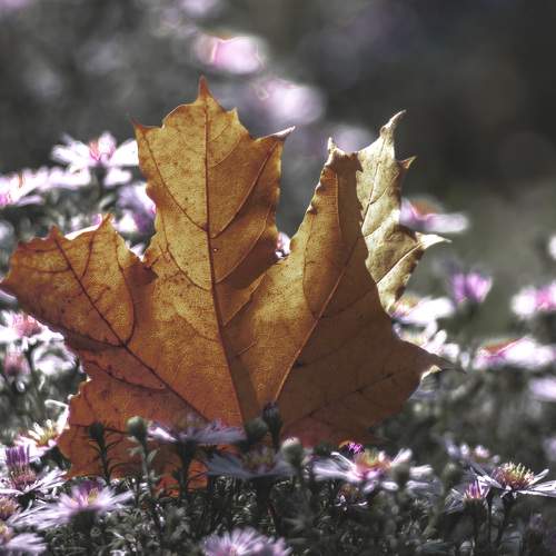 Photo #9659222