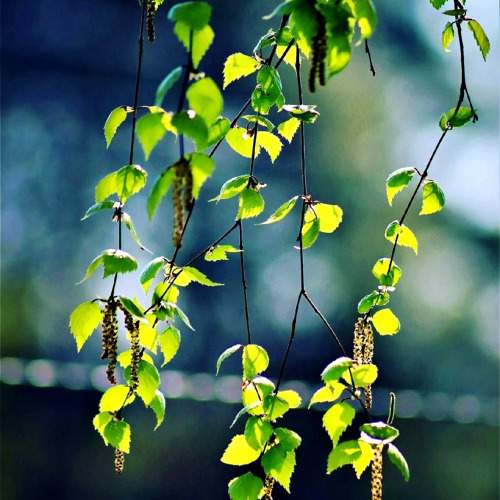 Photo #9659225