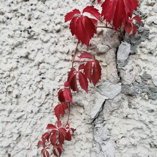 Photo #9659431