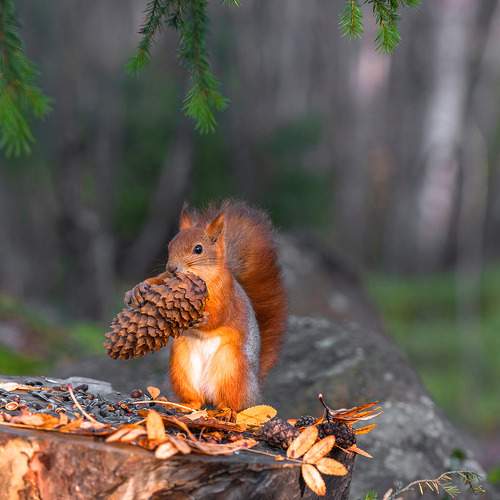 Photo #9659617