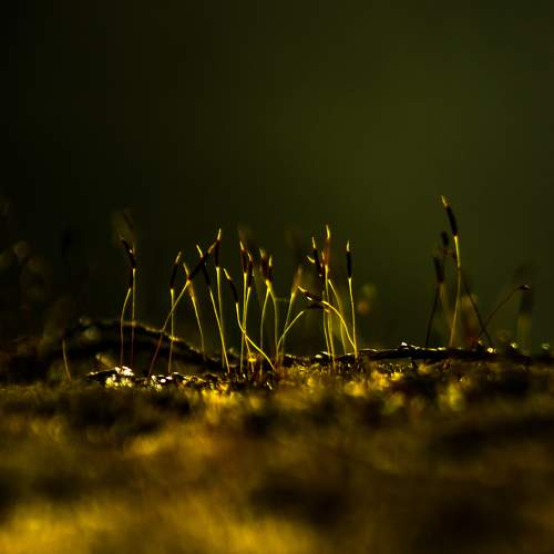 Photo #9659771