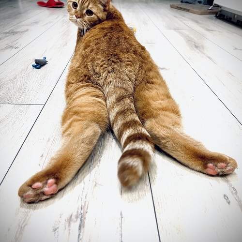 Photo #9659779