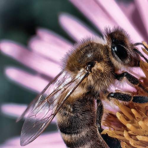 Фотография #9659837