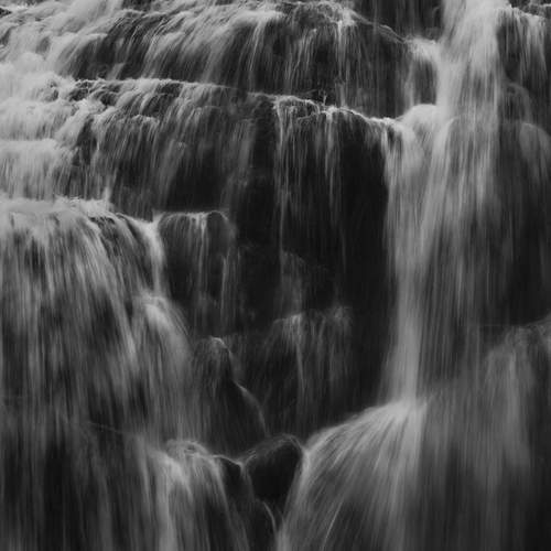 Photo #9659838