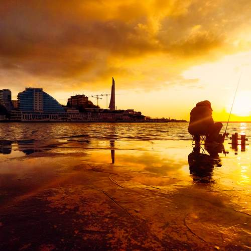 Photo #9659849