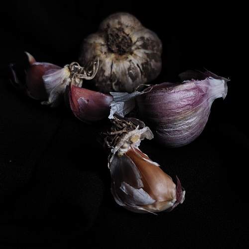 Photo #9659906
