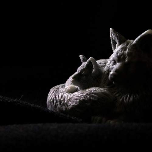 Photo #9660060