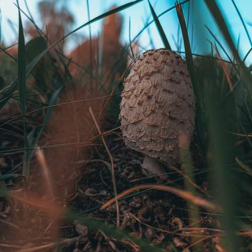 Photo #9660326