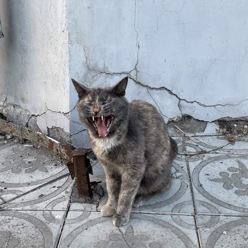 Photo #9660498