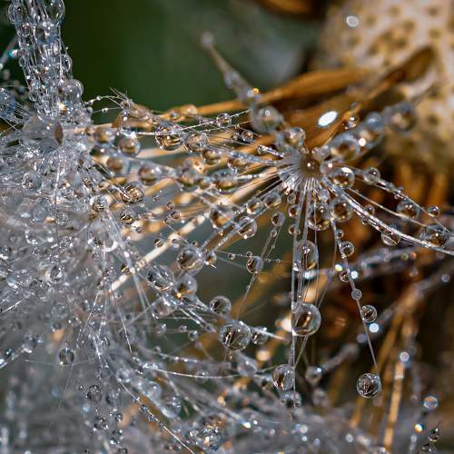 Photo #9660699