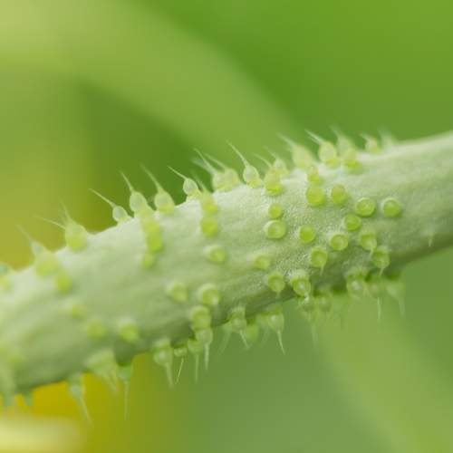 Photo #9660818