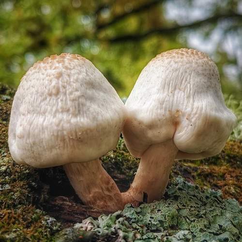 Photo #9660822