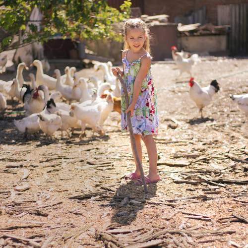 Photo #9661130