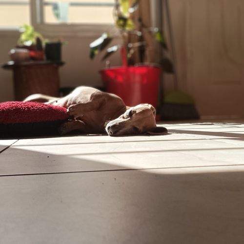 Photo #9661458