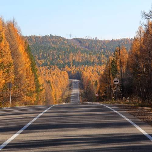 Photo #9661496