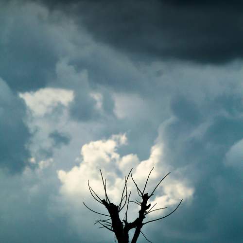 Photo #9661670