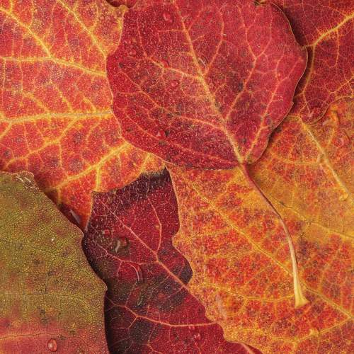 Photo #9661849