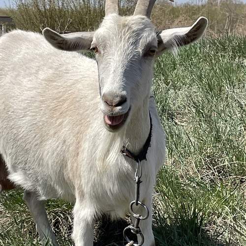 Photo #9662126