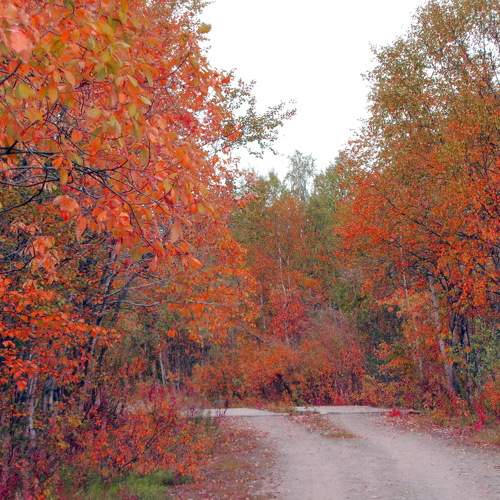 Photo #9662806